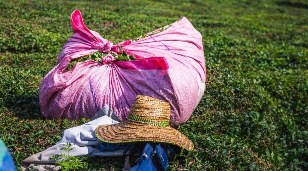 Klasik Doğu Karadeniz Turu (2)